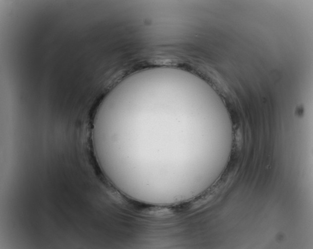 X0000103230322200808280956