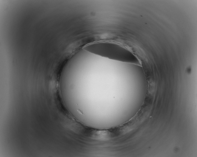 X0000103230324200808280956