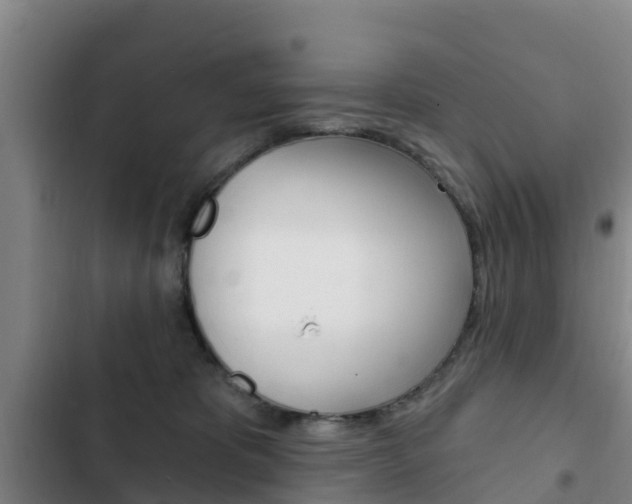 X0000103230325200808280956
