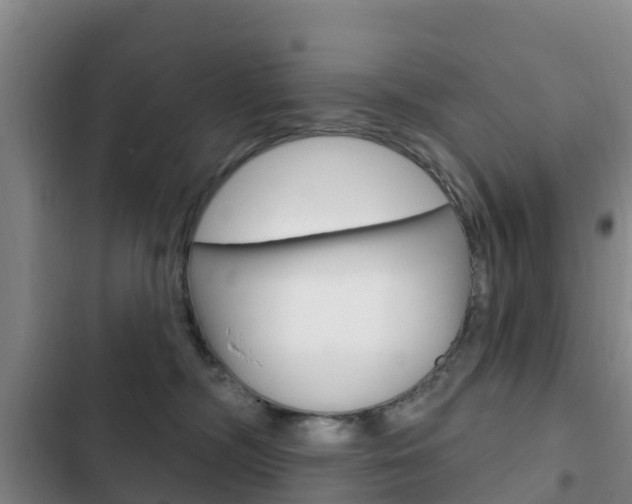X0000103230326200808280956