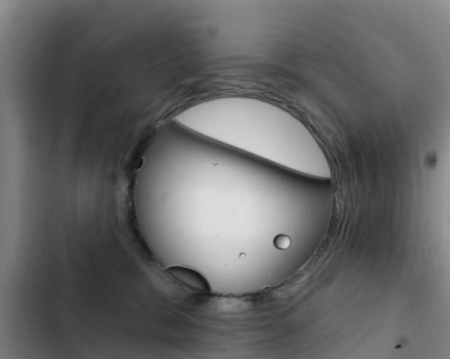 X0000103230327200808280956