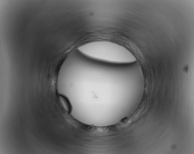 X0000103230329200808280956