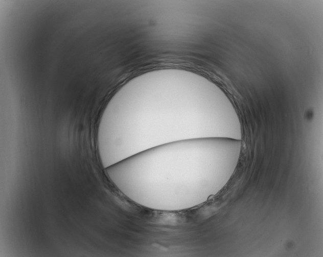 X0000103230330200808280956