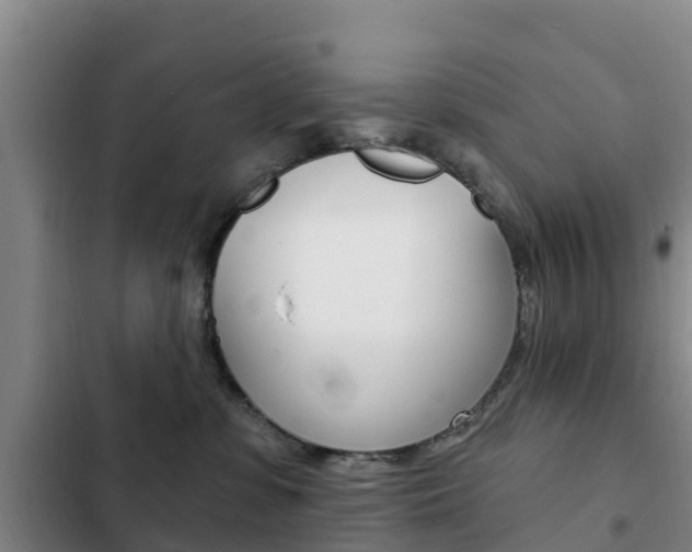 X0000103230331200808280956