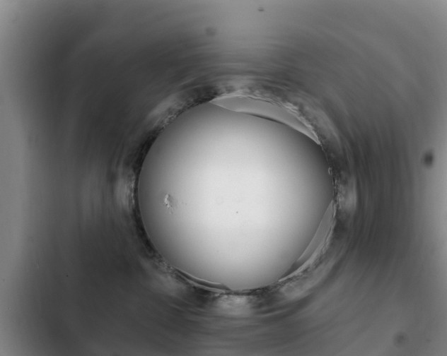 X0000103230332200808280956