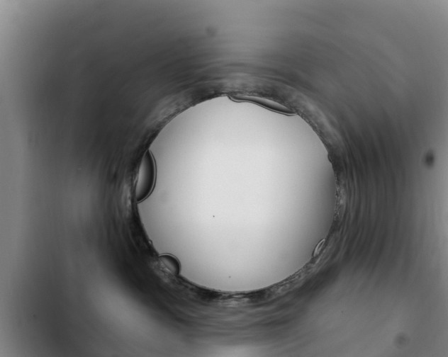 X0000103230333200808280956