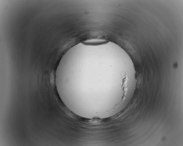 X0000103230335200808280956