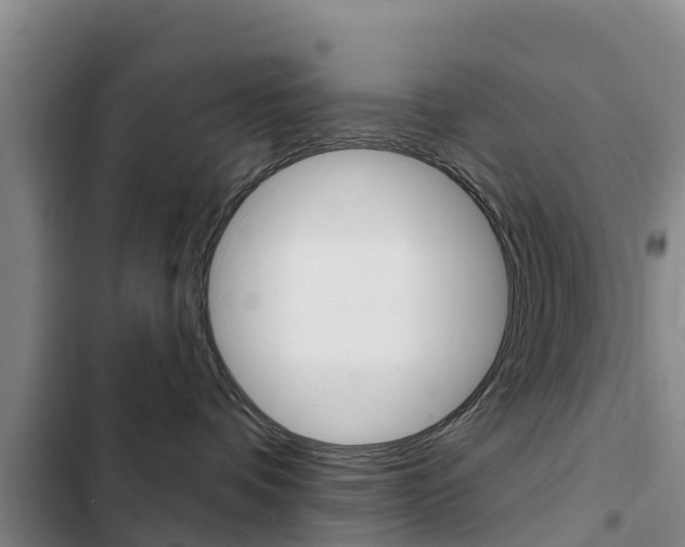 X0000103230336200808280956