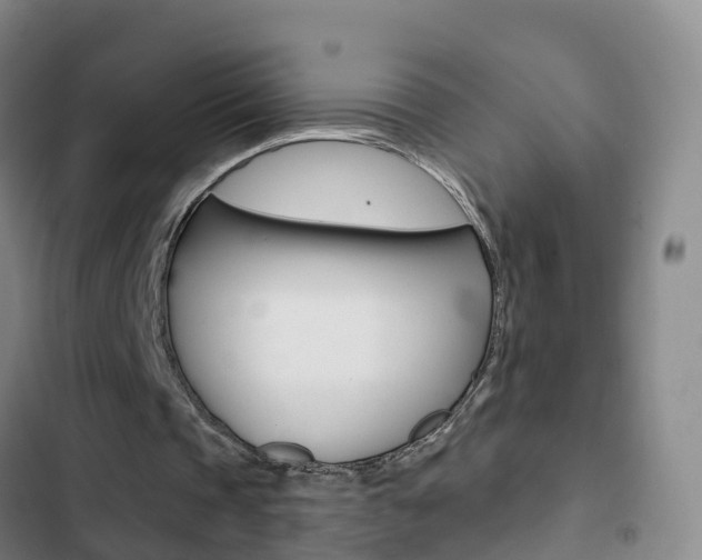 X0000103230337200808280955