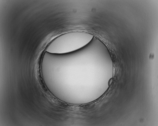 X0000103230339200808280955