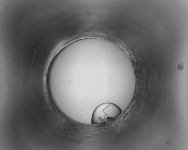 X0000103230340200808280955