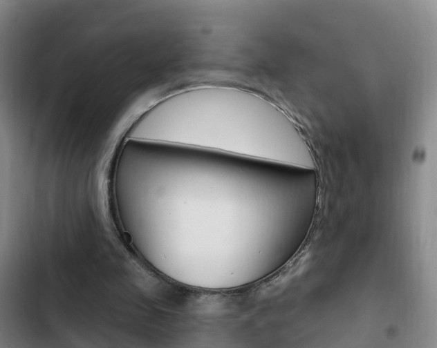 X0000103230341200808280955