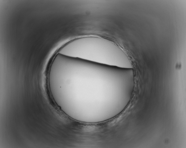 X0000103230342200808280955