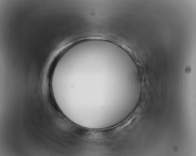 X0000103230343200808280955