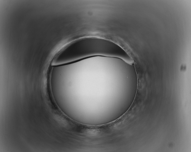 X0000103230344200808280955