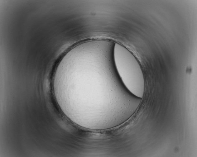 X0000103230347200808280955