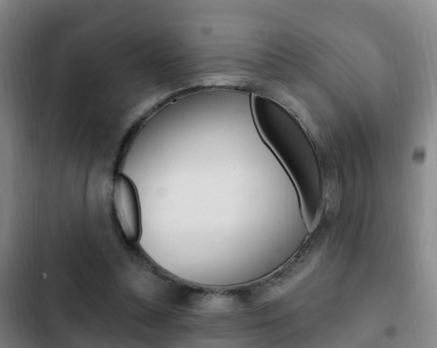 X0000103230348200808280955