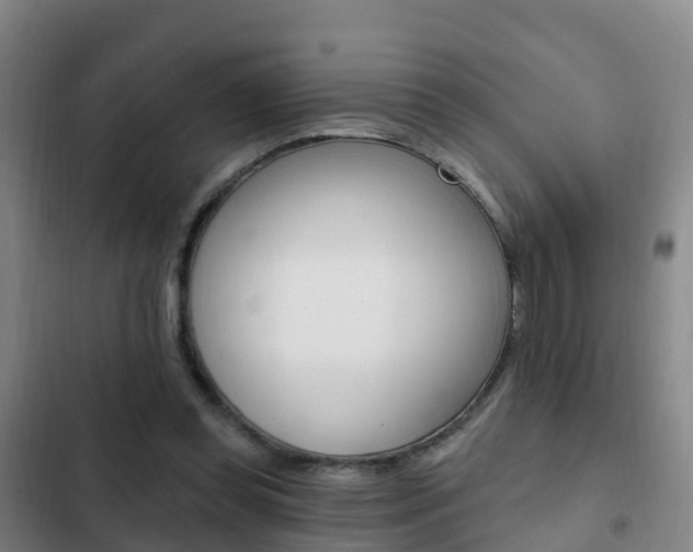 X0000103230349200808280955
