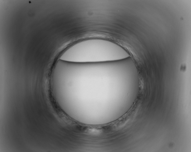 X0000103230352200808280955