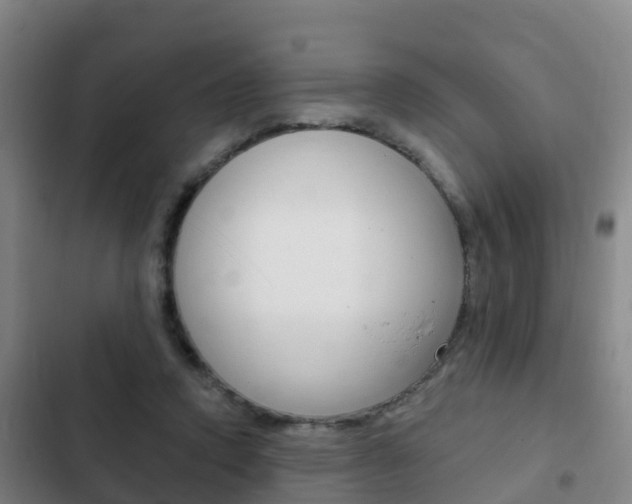 X0000103230354200808280955