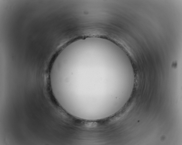 X0000103230355200808280955