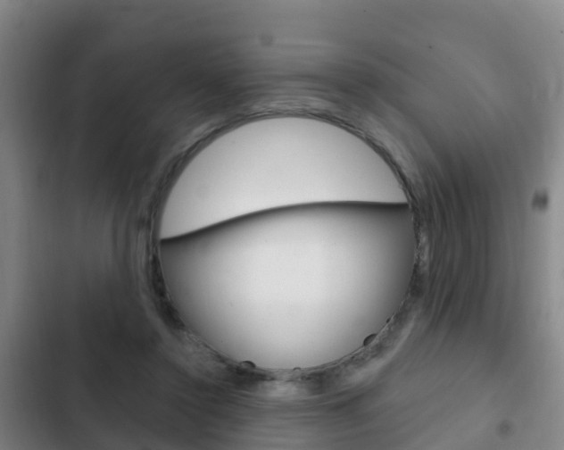 X0000103230356200808280955