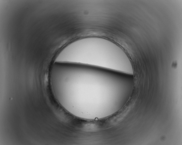 X0000103230358200808280956