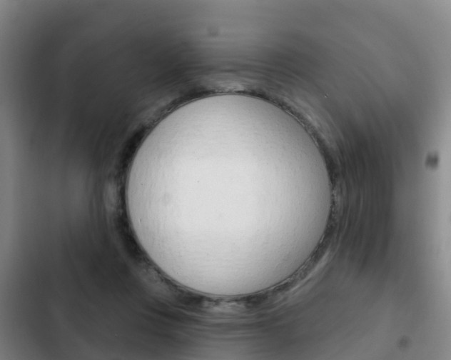 X0000103230359200808280956