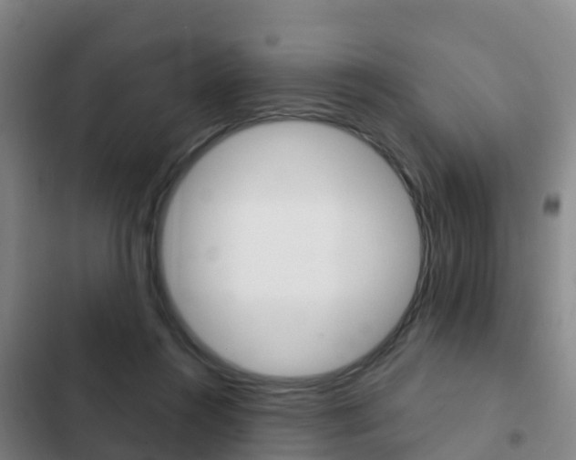 X0000103230360200808280956