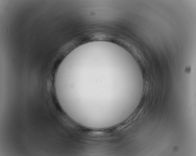 X0000103230361200808280956