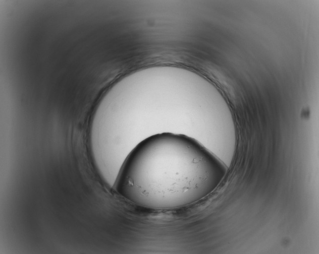 X0000103230362200808280956
