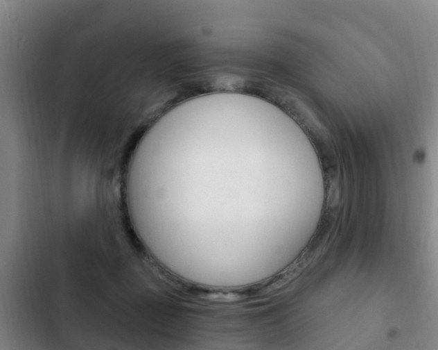 X0000103230363200808280956