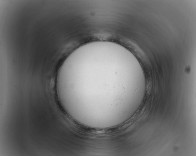 X0000103230365200808280956