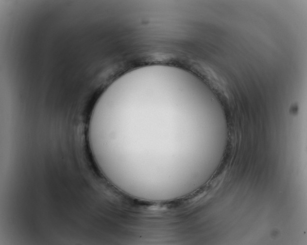 X0000103230366200808280956