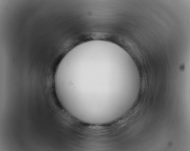 X0000103230367200808280956