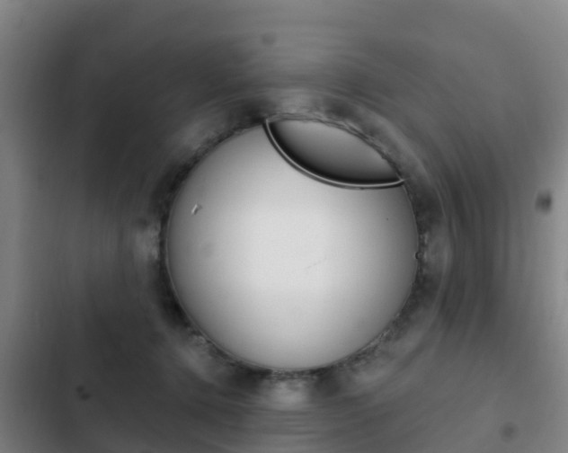 X0000103230368200808280956