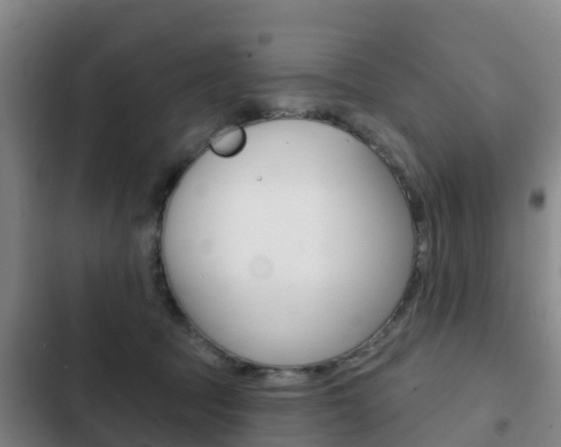 X0000103230369200808280956