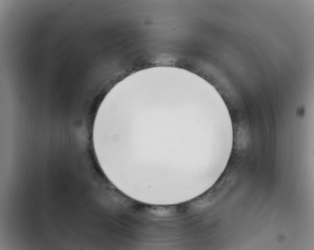 X0000103230370200808280956