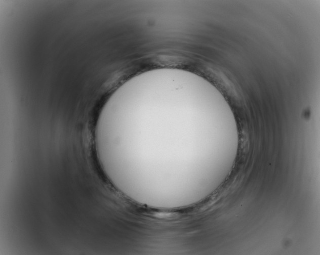 X0000103230371200808280956