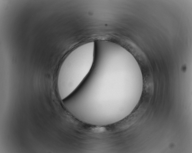 X0000103230374200808280956