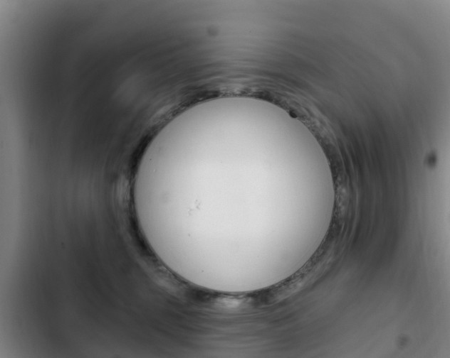 X0000103230375200808280956