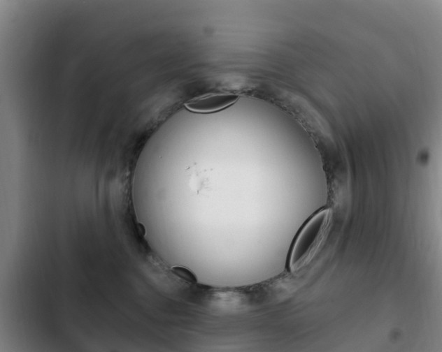 X0000103230376200808280956