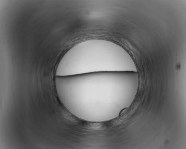 X0000103230377200808280956