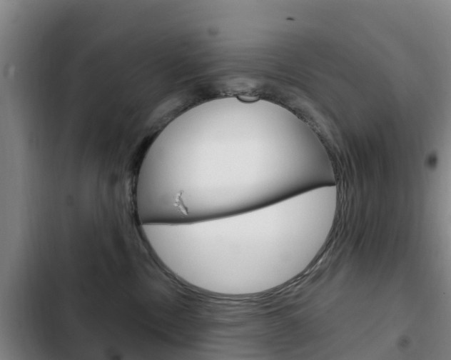 X0000103230378200808280956