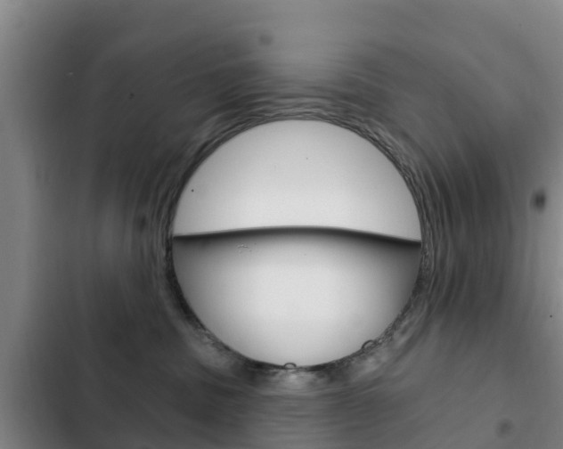 X0000103230379200808280956