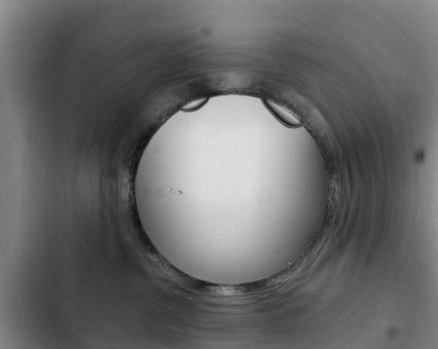 X0000103230380200808280956
