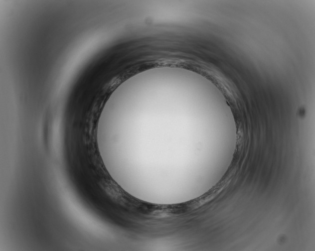 X0000103230381200808280956