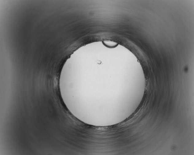 X0000103230382200808280956