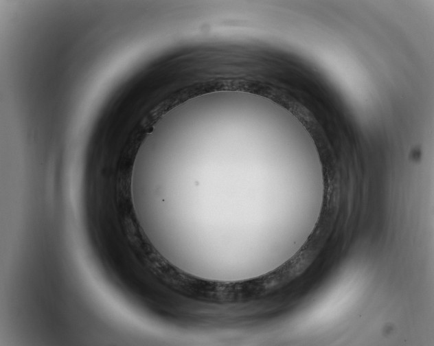 X0000103230383200808280956