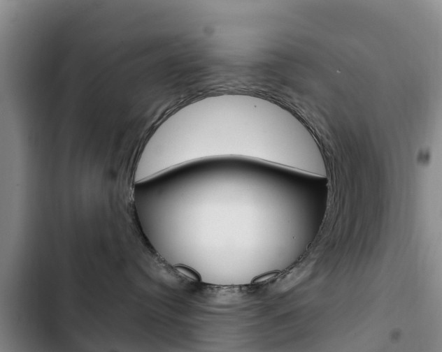 X0000103230384200808280956